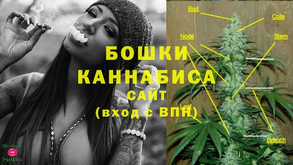 экстази Корсаков