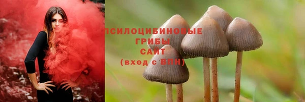 кокс Киреевск