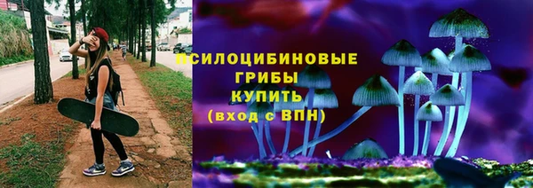 PSILOCYBIN Костерёво